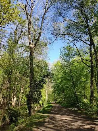 Photo of Forêt départementale de Bellejame