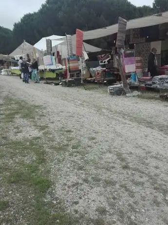Photo de Feira Dos Carvalhais