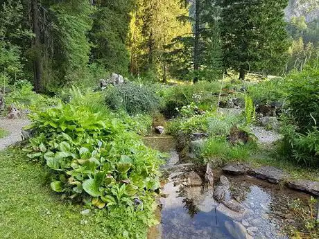 Photo de La Thomasia  Jardin de Pont de Nant