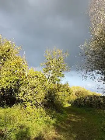 Photo de Stockwood Open Space Nature Reserve
