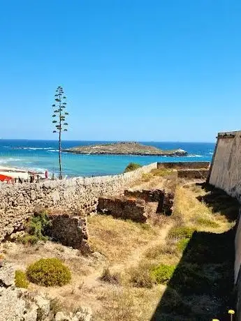 Photo de Pessegueiro