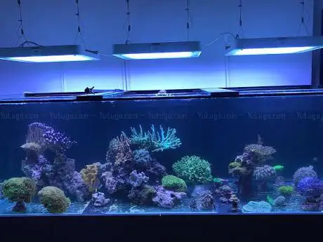 Photo de Jeko-Aquaristik