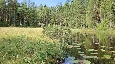 Photo de Kanutouren und Kanuverleih Värmland - Schweden