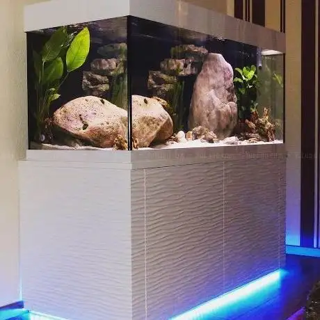 Photo de aquaman