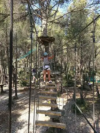 Photo de Le Royaume des Arbres - Le Castellet