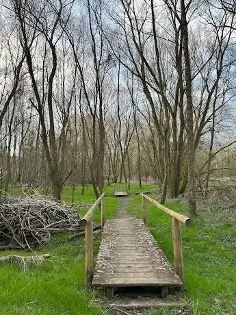 Photo of Alzette renaturée Walferdange