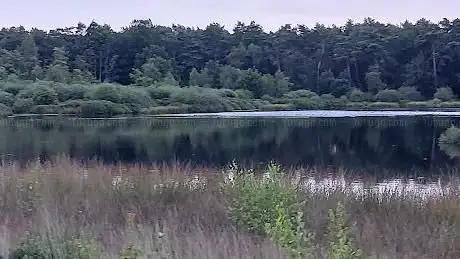 Photo de Zwart water