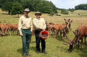 Photo de Ashton Court Estate
