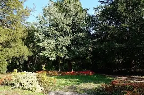 Photo of Jardin du Trocadéro