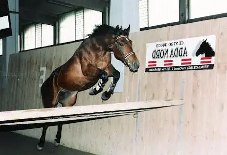 Photo de Scuderia Ippica Adda Nord
