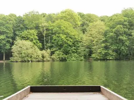 Photo de Newmillerdam
