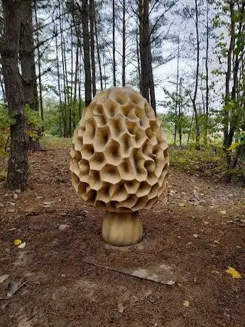 Photo de Park Grzybowy