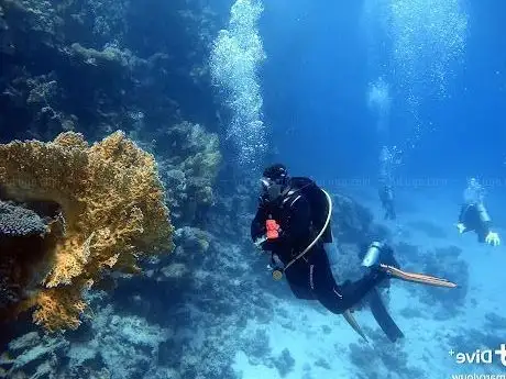 Photo de Extra Divers Equinox Marsa Alam