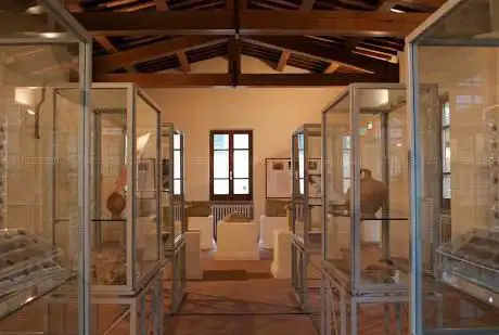 Photo de Museo di Santa Croce
