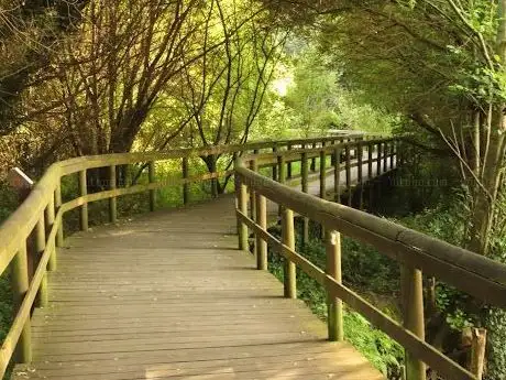 Photo de Passadiços do Rio Uíma (Parque das Ribeiras)
