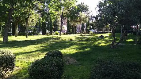 Photo de Parque De Los Estados