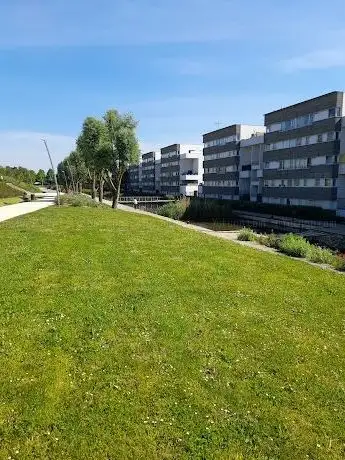 Photo de Parc départemental des Hautes-Bruyères