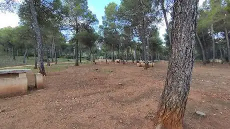 Photo de Ãrea recreativa Fuente del Piojo