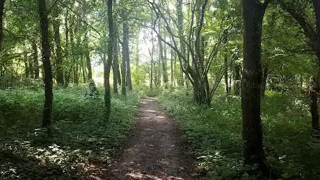 Photo de Kluysbos