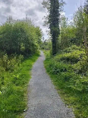 Photo de Bishop's Wood Forest