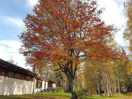 Photo de Stensätra kyrka
