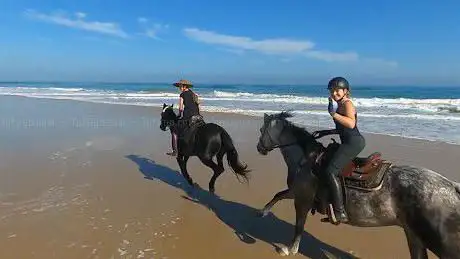 Photo de Andalucia Spirit Horse Ranch