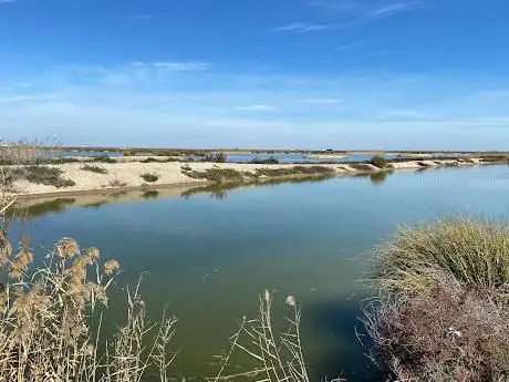 Photo de Esteros del Guadalquivir