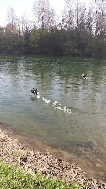 Photo de Parc de l'Ancienne Plage de Gournay