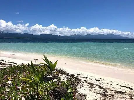 Photo de Coco Mambo