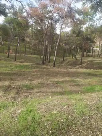 Photo de Forestal Los Gavilanes Park