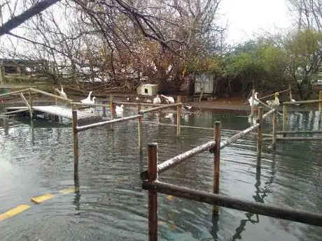 Photo de La Ferme Du Ruddy
