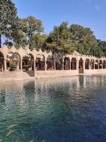 Photo de Ocean Swimming Pool