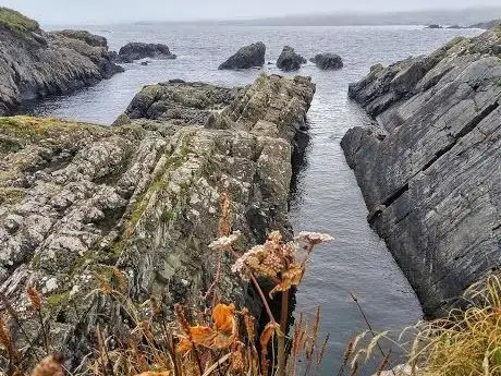 Photo de Beara Bowl