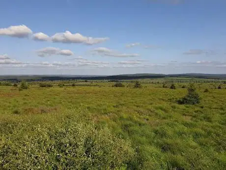Photo de Panorama sur les Hautes Fagnes / Hohes Venn