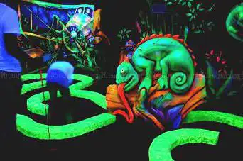 Photo de Jungle goolfy