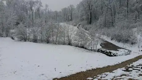 Photo de Staudamm Allschwil (Isigs Brüggli)