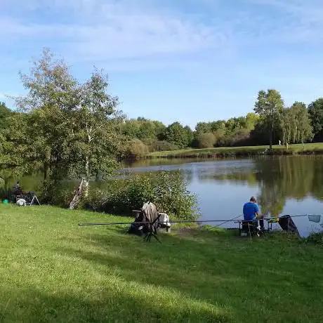 Photo de Bassin de La Boissière