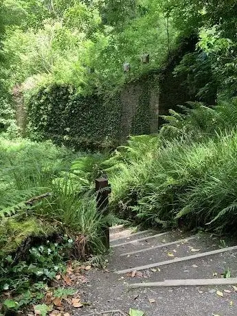 Photo de Dún na Rí Forest Park