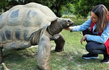 Photo of La Vallée des Tortues