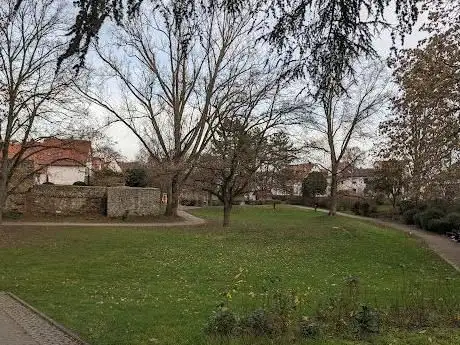 Photo de Zwingenberg Park