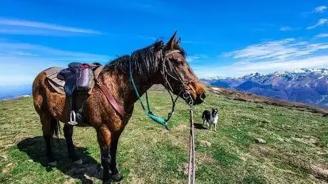 Photo of Chevauchées sauratoises  La Ferme Equestre de Thomas et Elsa