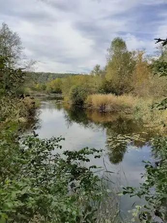 Photo de Réserve naturelle du Bois de Treulaz