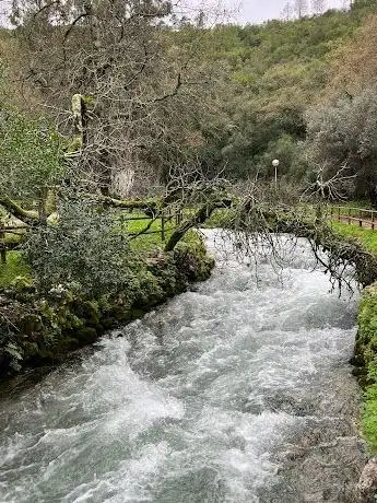 Photo de Source of the River Lis