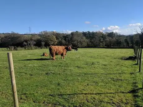 Sperrin Fun Farm
