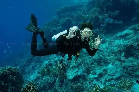 Photo de Emperor Divers Wadi Sabarah