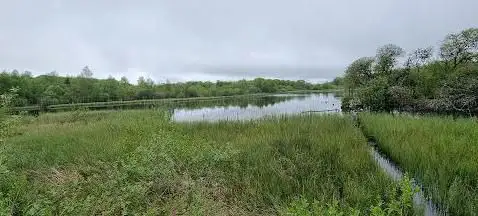 Photo de Tourbière de Gayme