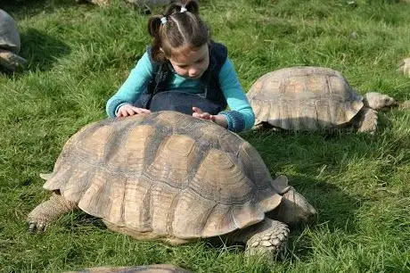 Photo of Alligator Bay