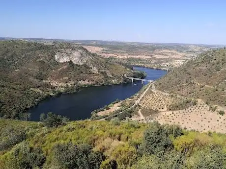 Photo de Castelo do rei Vamba e capela de N. Sra. do Castelo