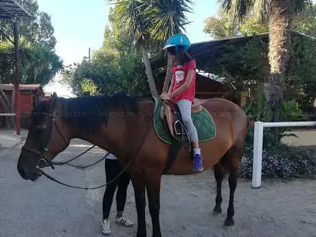 Photo de Circolo Ippico Ruben Ranch