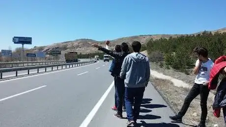 Photo de Selçuk Al Hatıra Ormanı